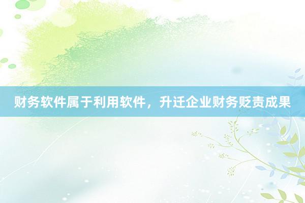 财务软件属于利用软件，升迁企业财务贬责成果